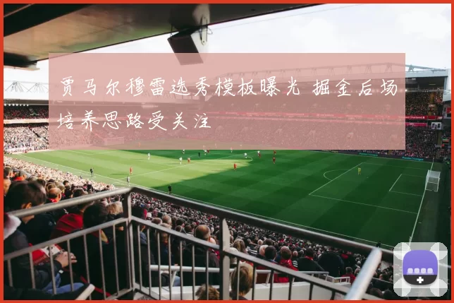 贾马尔穆雷选秀模板曝光 掘金后场培养思路受关注