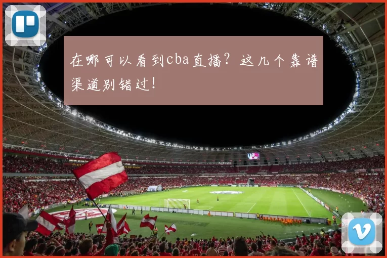 在哪可以看到cba直播?这几个靠谱渠道别错过!