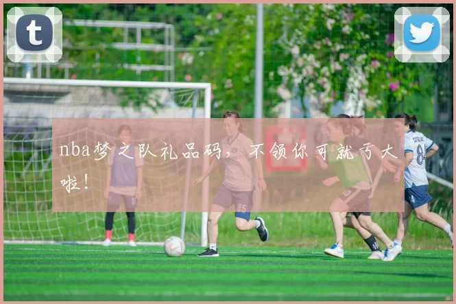 nba梦之队礼品码,不领你可就亏大啦!