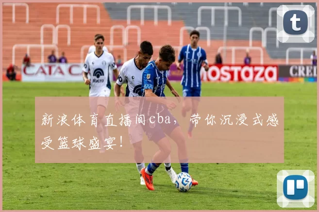 新浪体育直播间cba,带你沉浸式感受篮球盛宴!